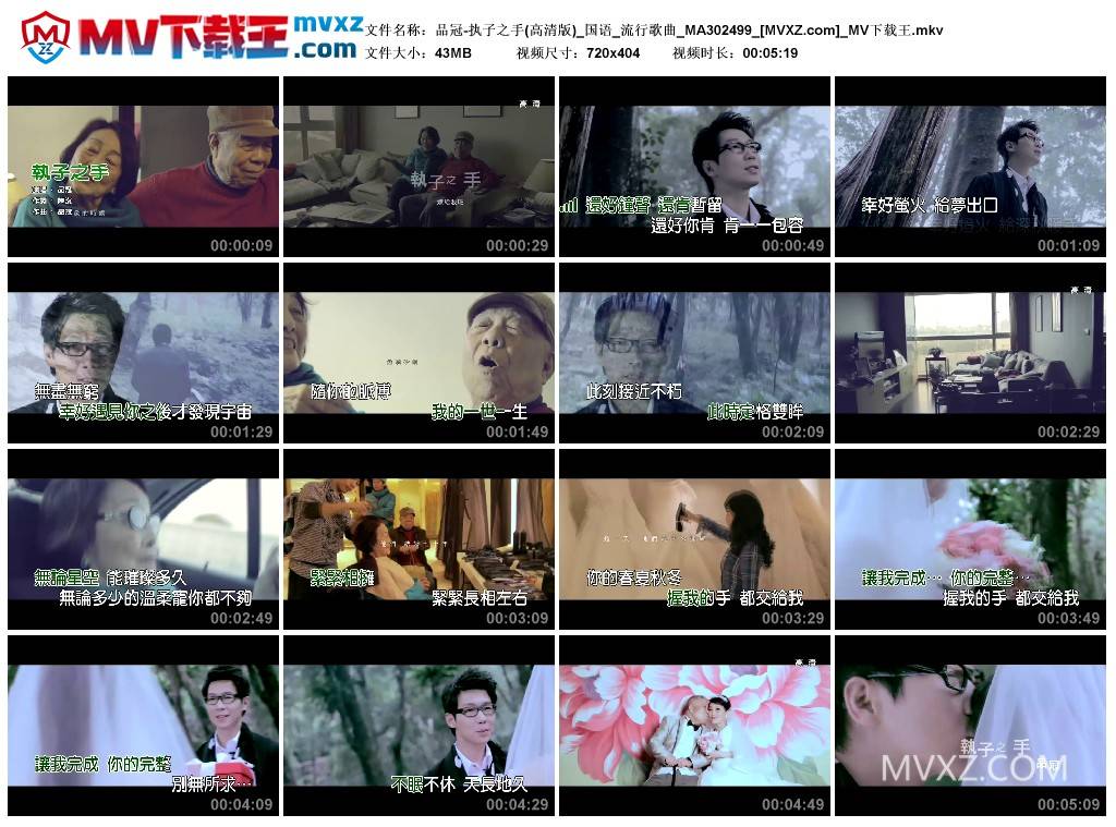 品冠-执子之手(高清版)_国语_流行歌曲_MA302499